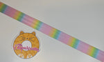 Pastel Rainbow Ombre - 1" Wide Webbing