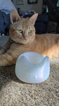 Cat Bowl - 3D Printed