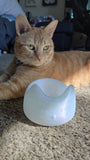 Cat Bowl - 3D Printed