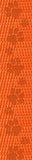 Debossed Paws Webbing - 1.5" Wide PREORDER