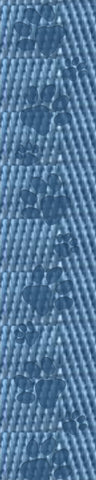 Blue - Debossed Paw Print Webbing - 1" Wide Webbing