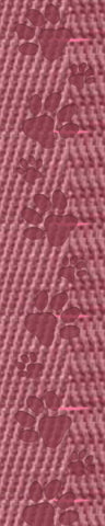 Pink - Debossed Paw Print Webbing - 1.5" Wide Webbing
