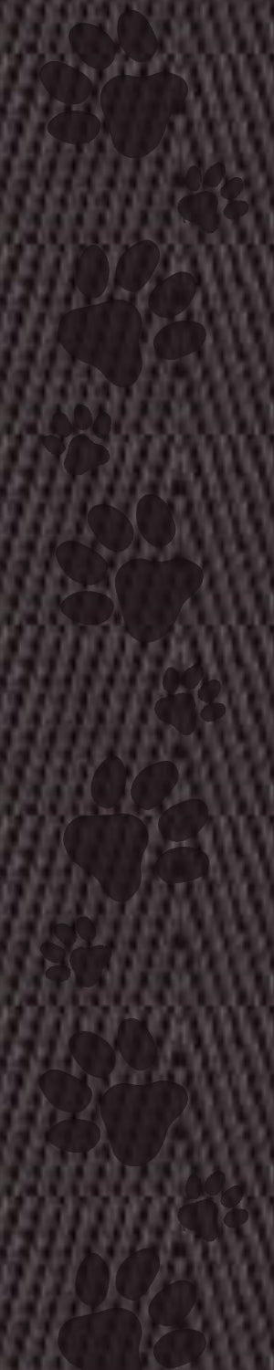 Black - Debossed Paw Print Webbing - 1" Wide Webbing by the yard