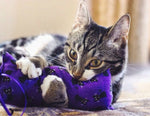 HALLOWEEN Mystery three pack of Catnip Kickers - Cat Toys